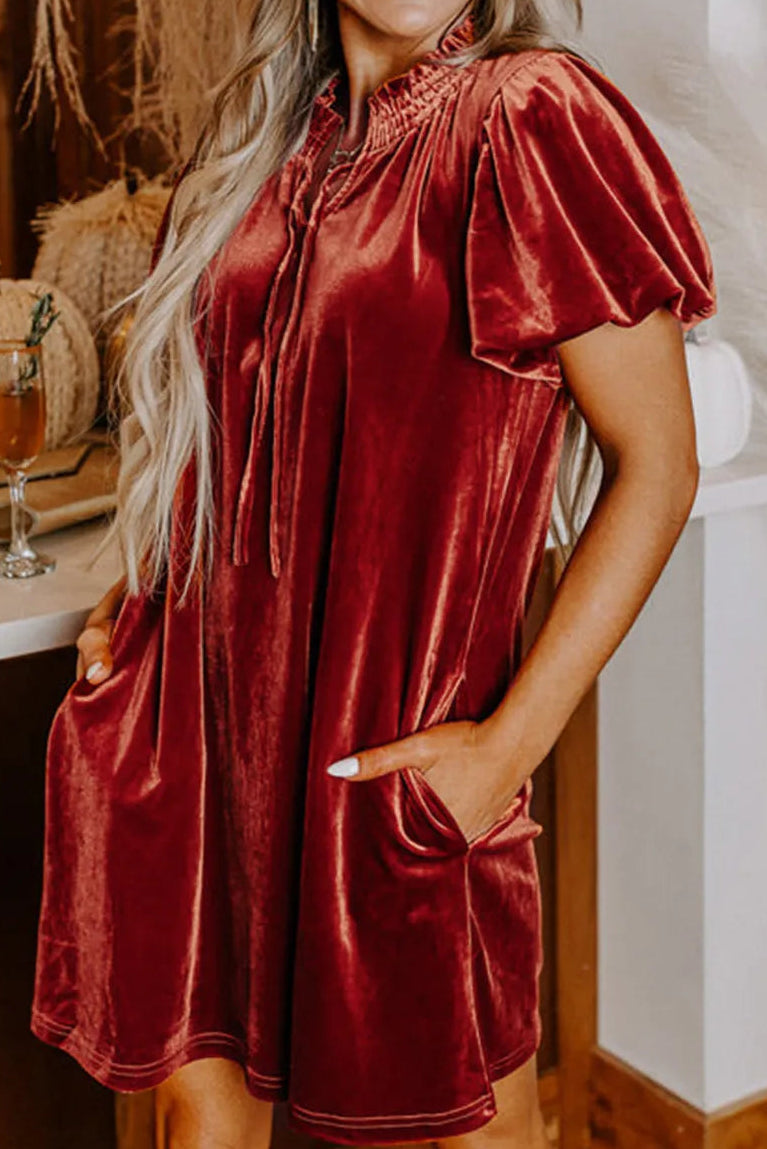 Velvet Mini Dress